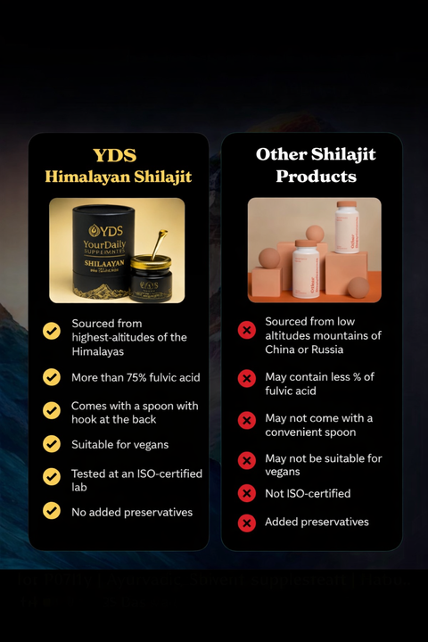 Himalayan Shilajit Resin