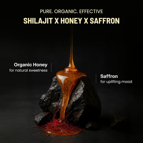 Himalayan Shilajit Gummies | Energy, Vitality & Daily Wellness Support